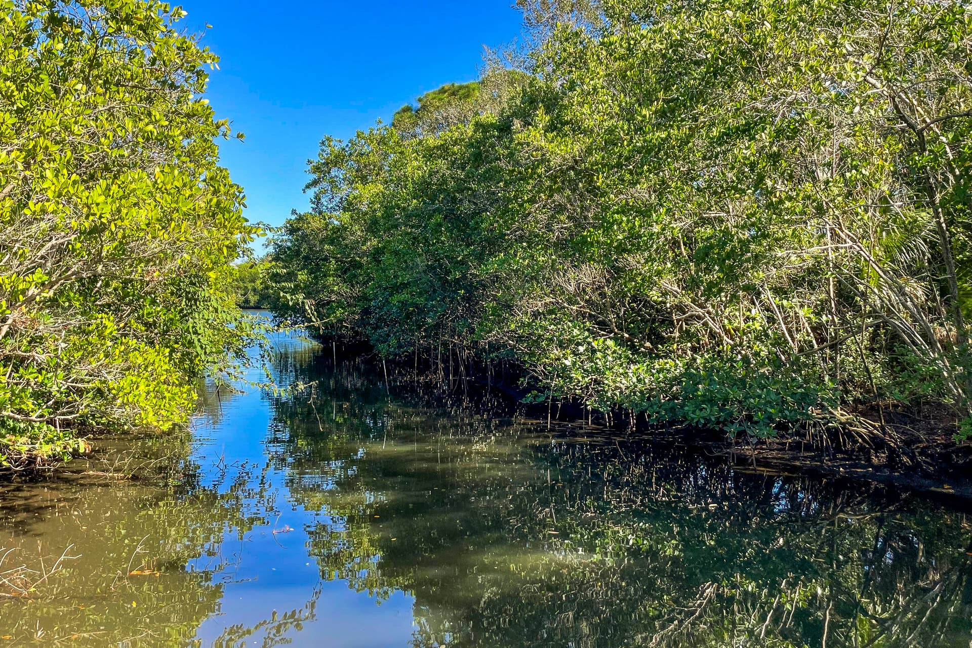 134 Shores Pointe Drive, Jupiter, FL 33458 Canal