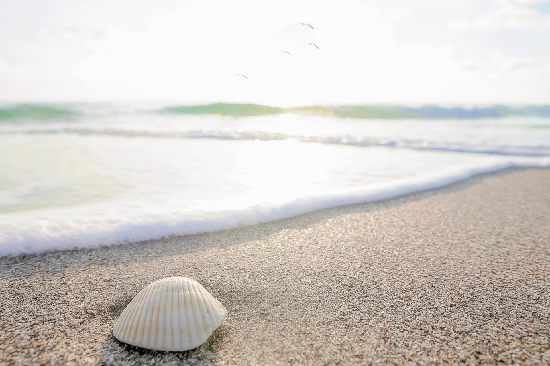 5440 N Ocean Avenue, #803, Singer Island, FL 33404 DSC01993 David Scarola Photography
