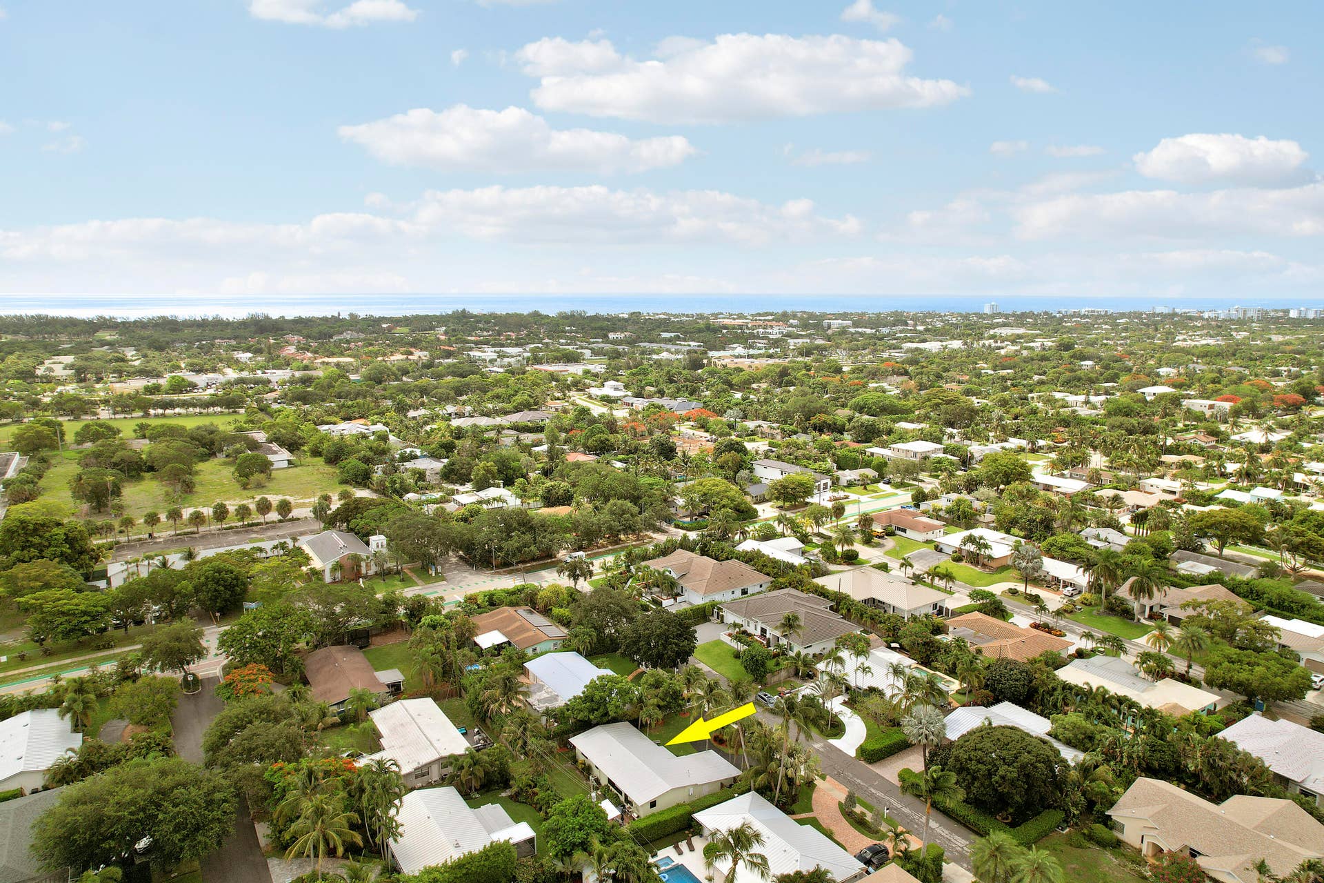 Aerials-6 copy