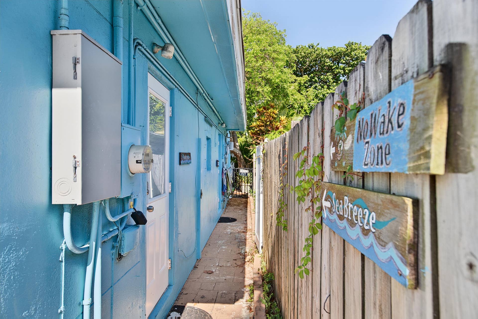 South side yard