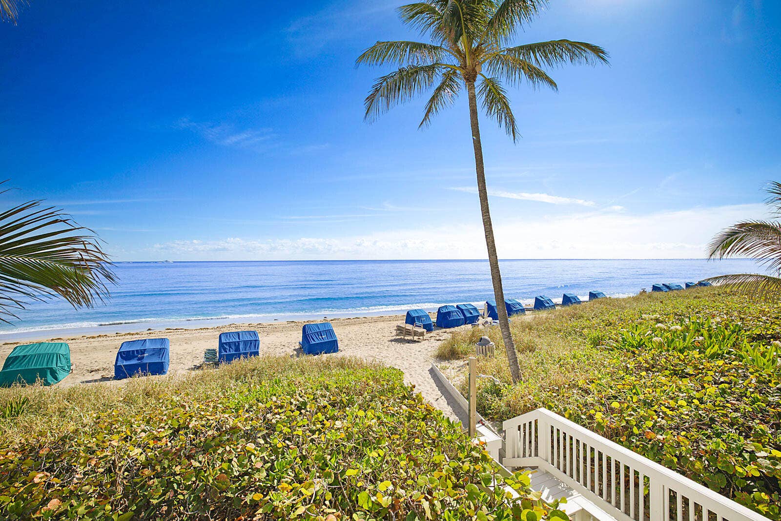 43_2917_S_Ocean_Blvd_Unit_4043_mls
