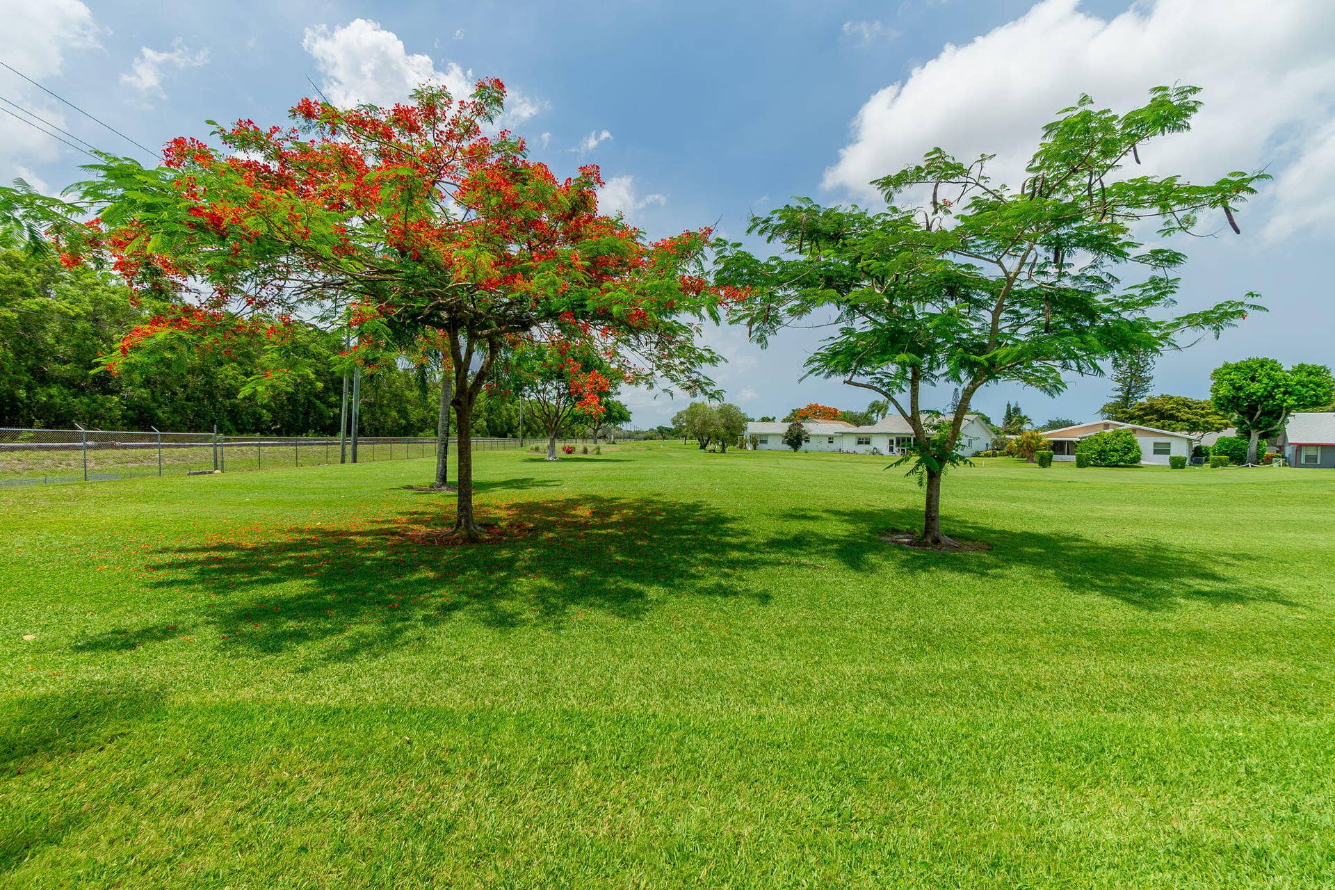 5487 Crystal Anne Drive, West Palm Beach, FL 33417 Back Yard