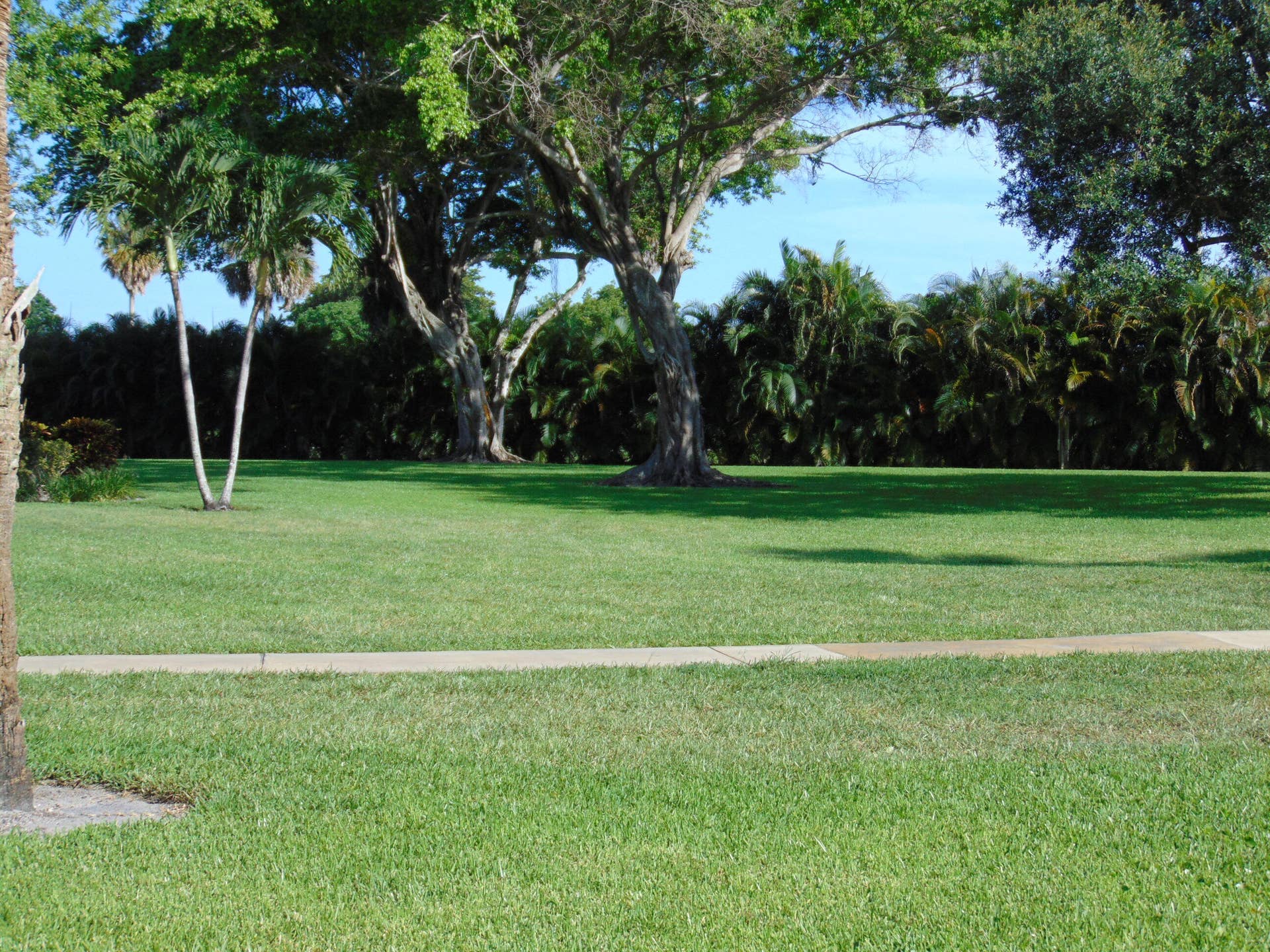 9220 SW 14th Street, #3103, Boca Raton, FL 33428 BACK YARD