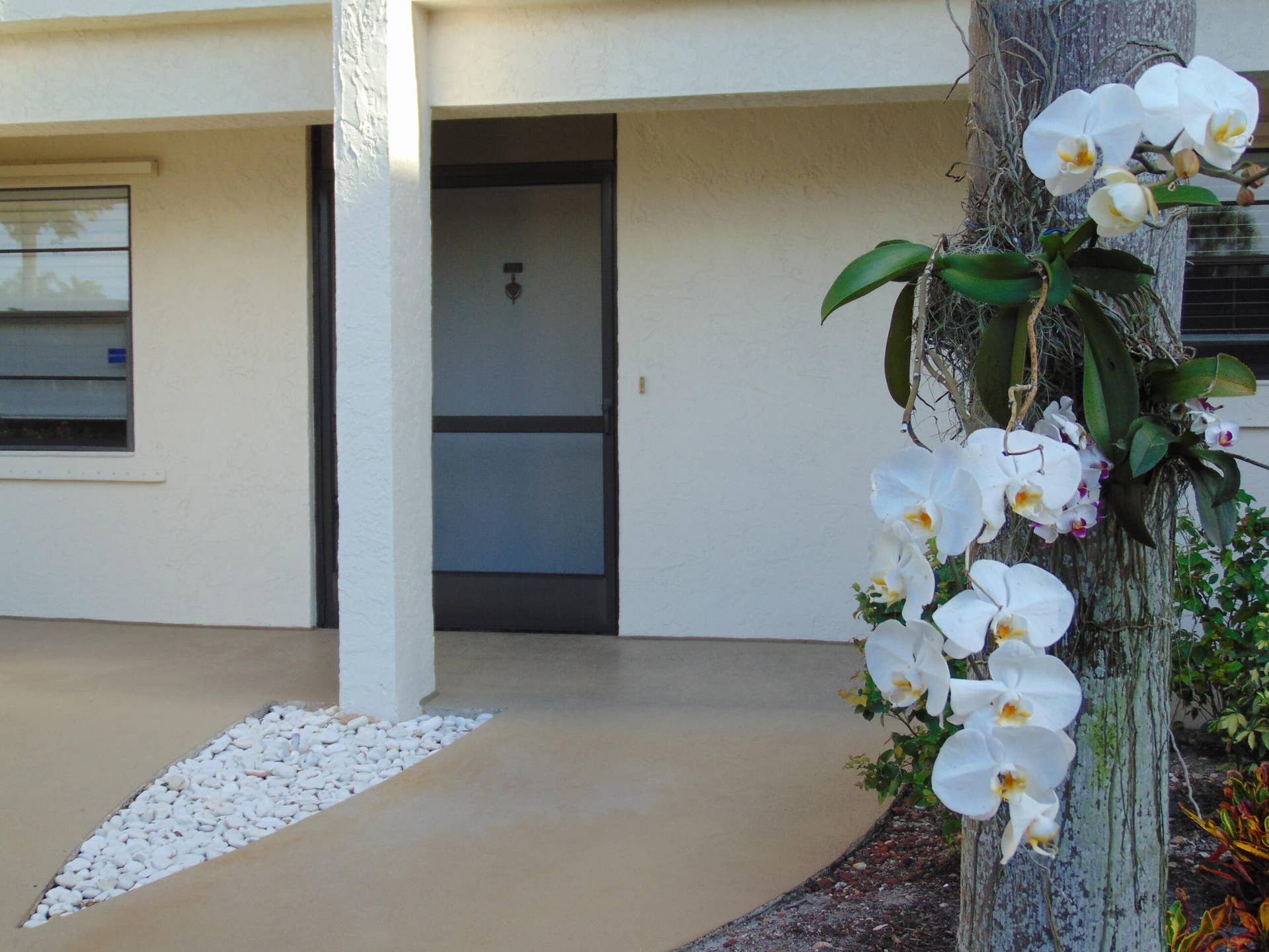 9220 SW 14th Street, #3103, Boca Raton, FL 33428 ORCHIDES