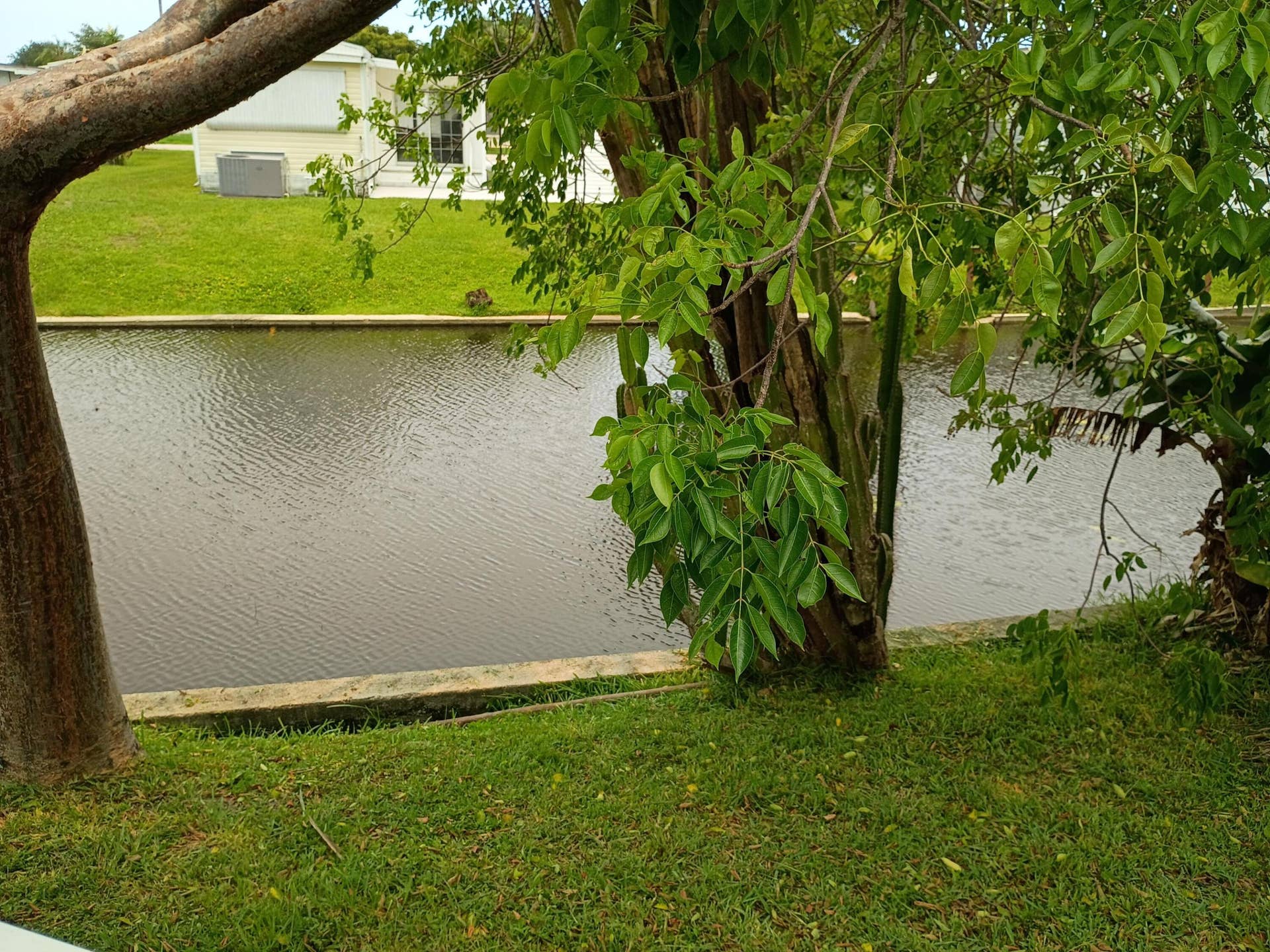 2080 SW 85th Avenue, Davie, FL 33324 IMG_20260617_130624277
