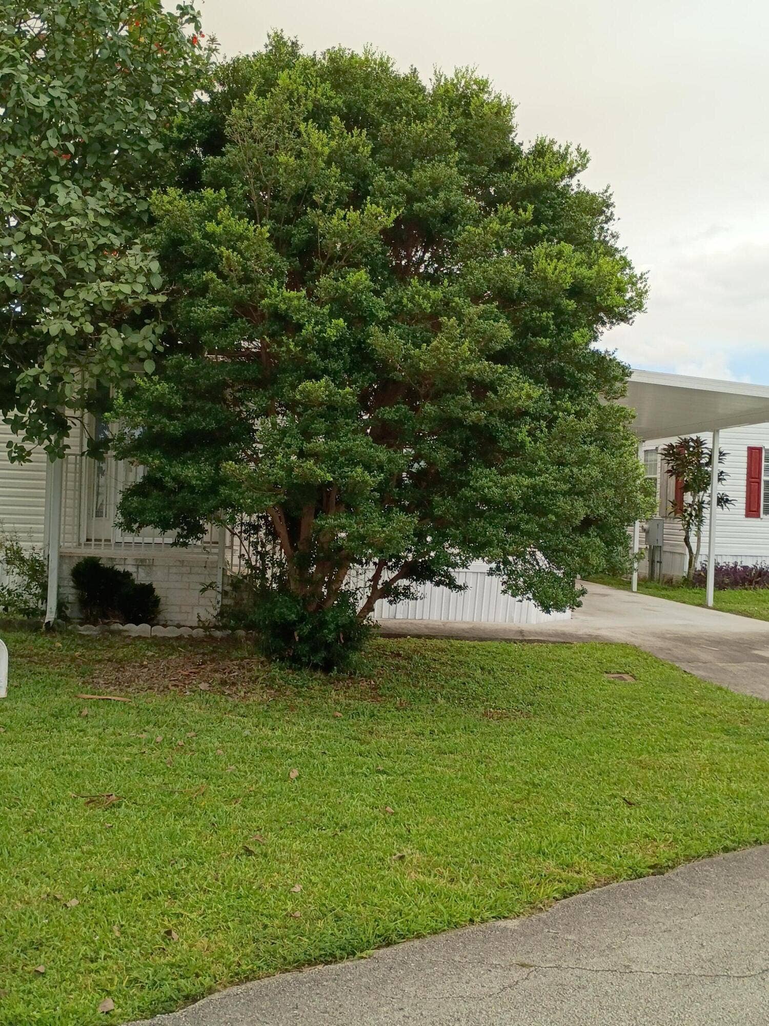 2080 SW 85th Avenue, Davie, FL 33324 IMG_20260617_133455878