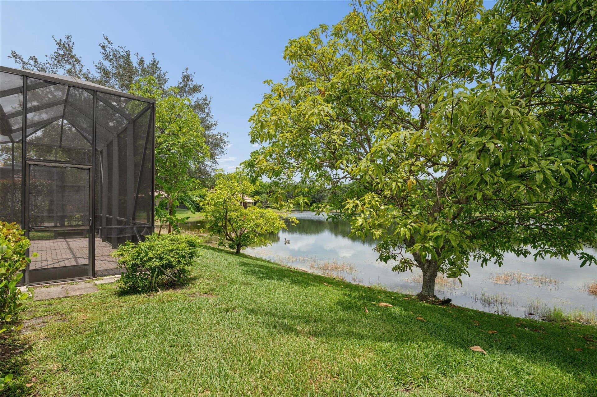 11259 NW 65th Manor, Parkland, FL 33076 25-Klein-11259 NW 65th Manor-25