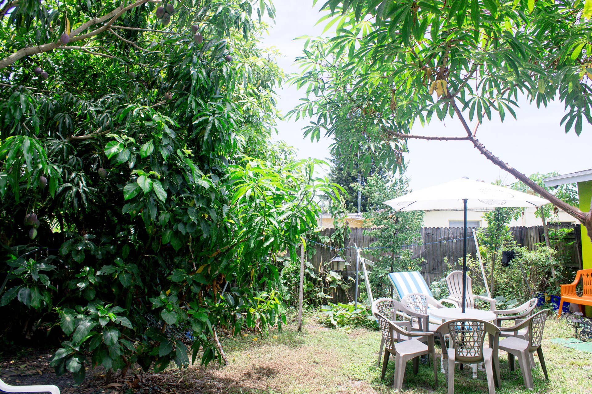 6165 Fair Green Road, West Palm Beach, FL 33417 Backyard