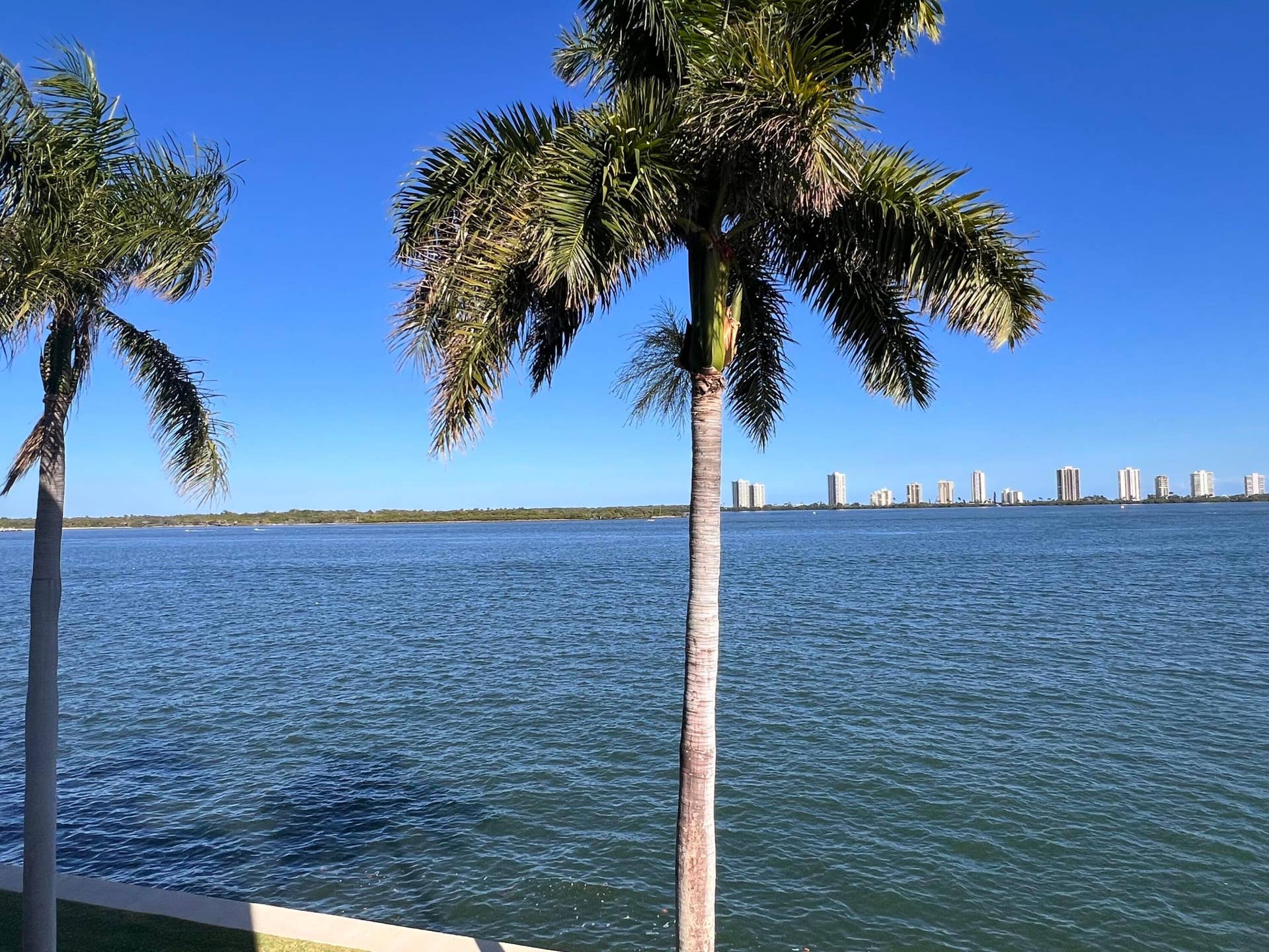 100 Paradise Harbour Boulevard, #506, North Palm Beach, FL 33408 100