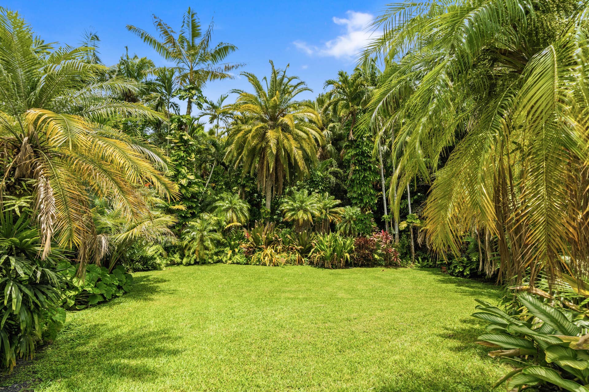 4201 SW 102nd Avenue, Davie, FL 33328 DSC04311