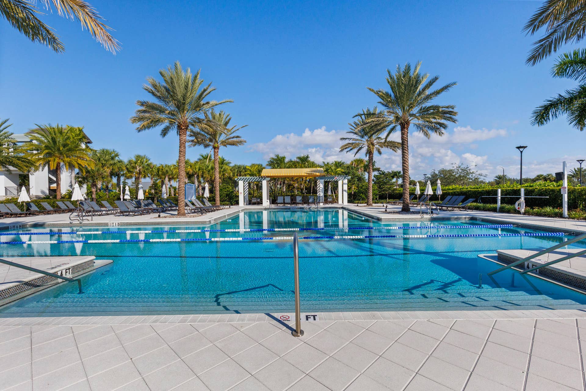 Adult Pool