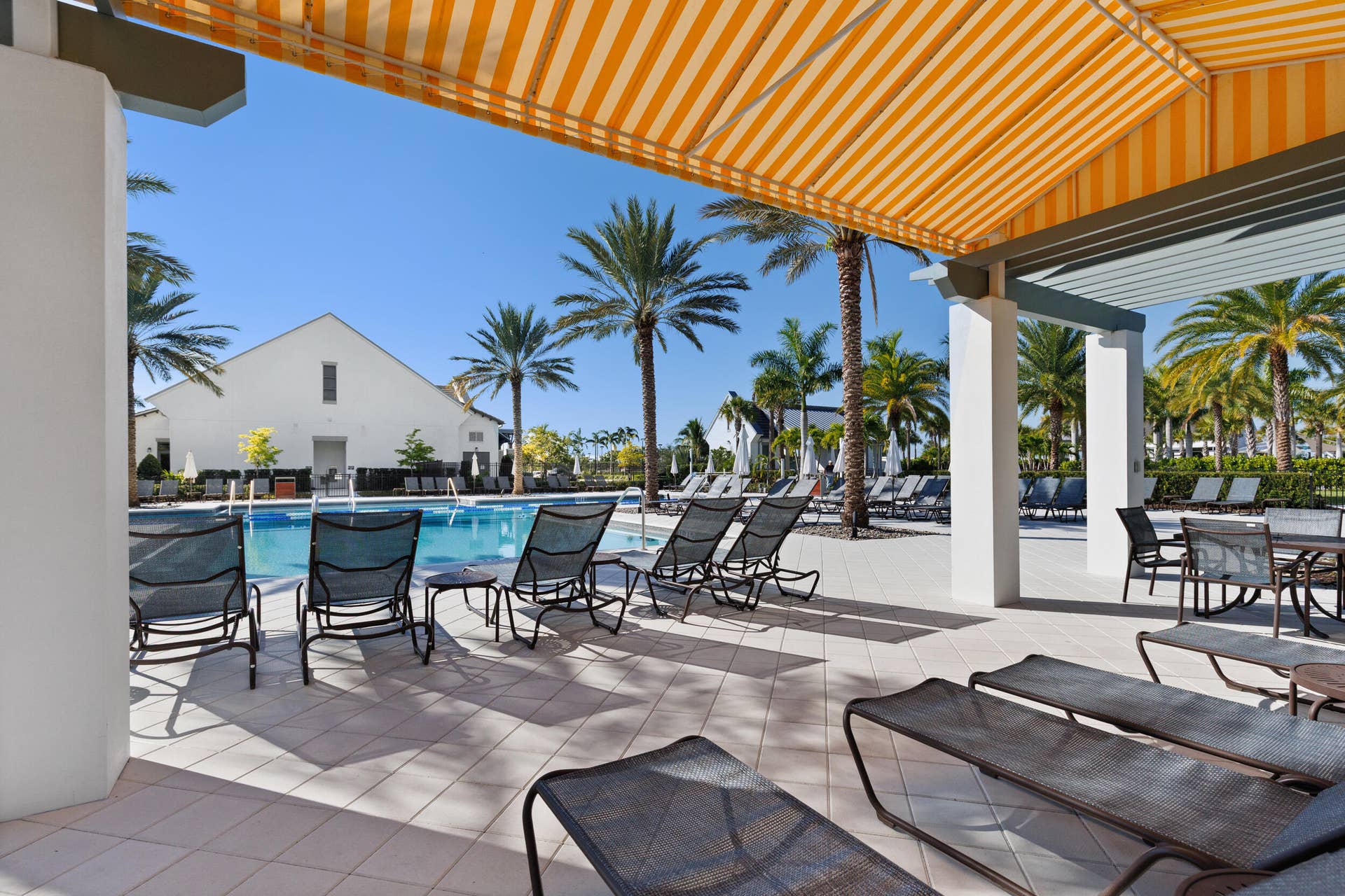 Adult Pool