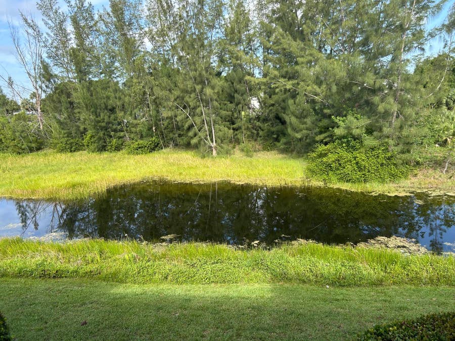 Property photo for 1169 Golden Lakes Boulevard, #1125, West Palm Beach, FL