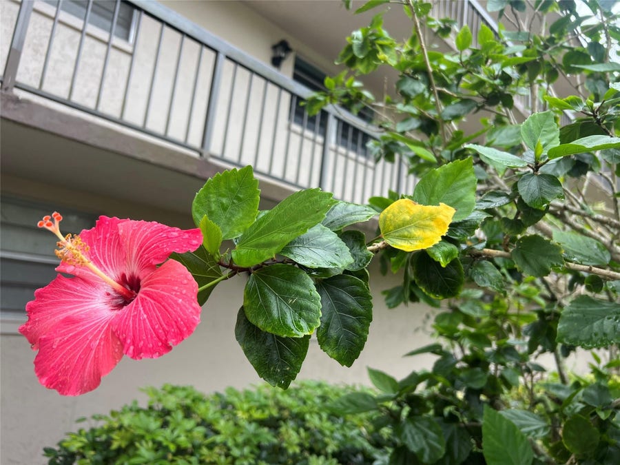 Property photo for 7450 NW 17th Street, #110, Plantation, FL