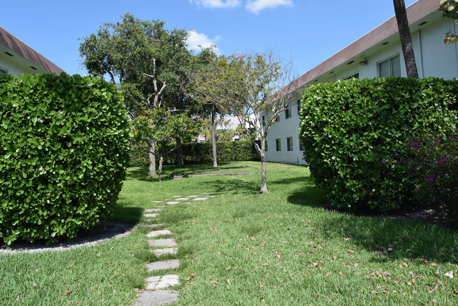 151 SE 6th Avenue, #14, Pompano Beach, FL 33060 Grassy Area