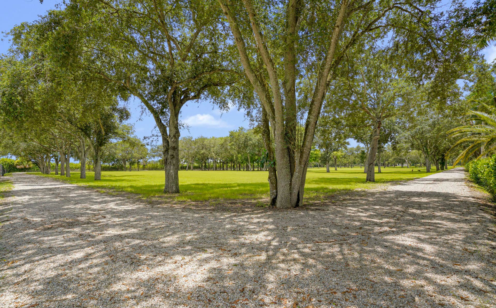 16451 Norris Rd 097