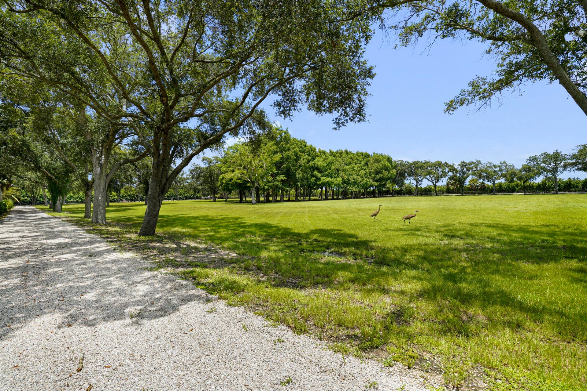 16451 Norris Rd 087a