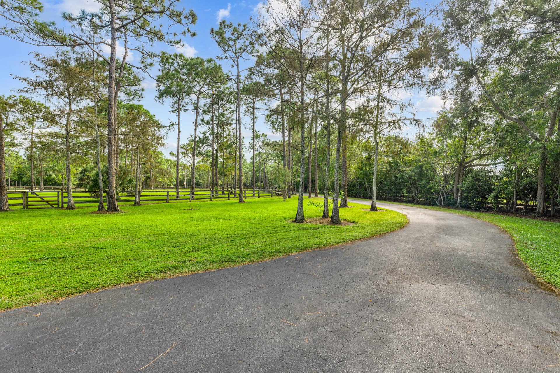Winding Private Driveway