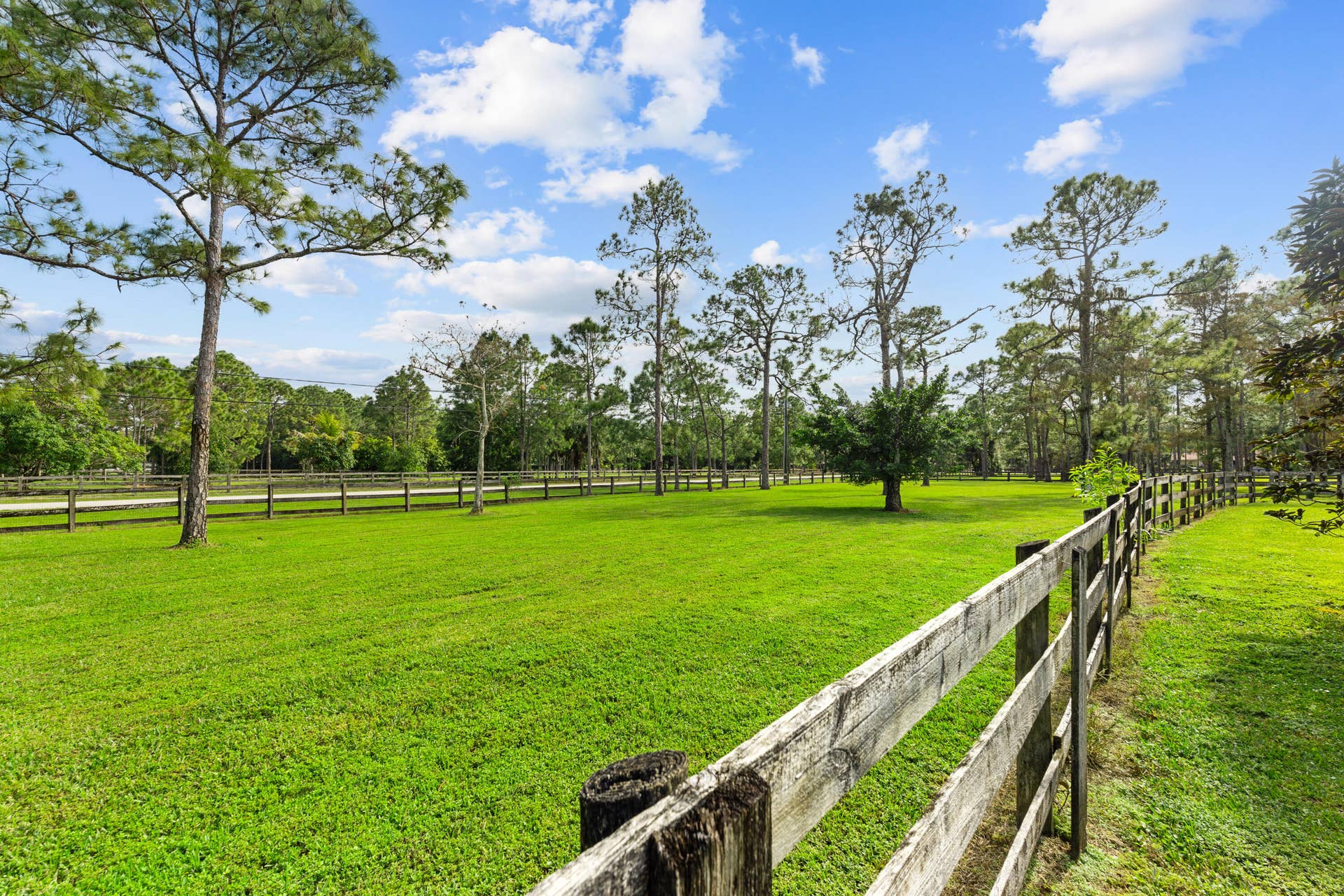 View of paddocks