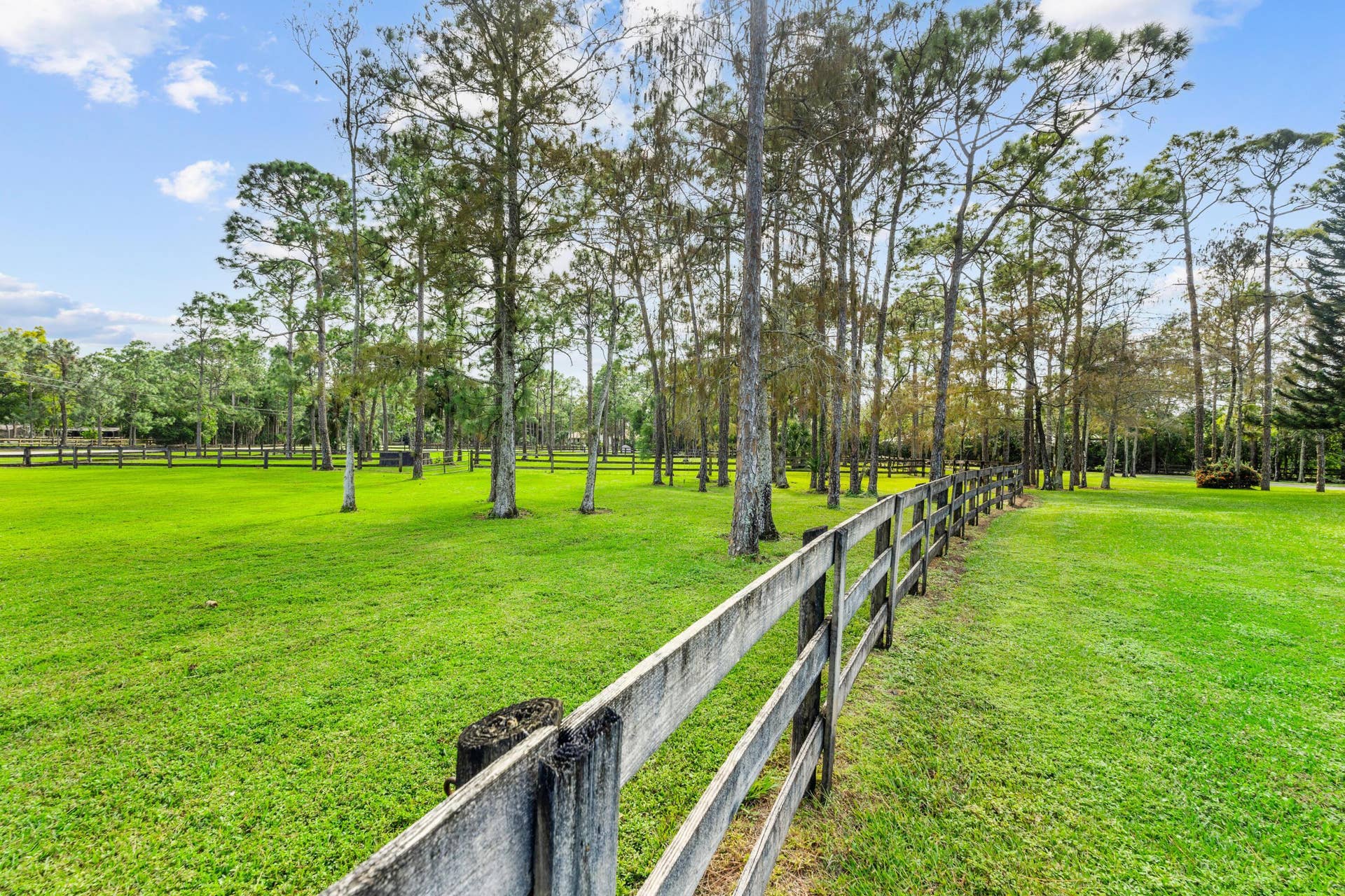 View of paddocks