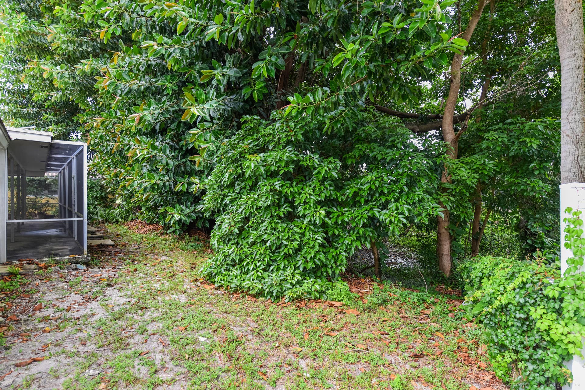 91 SW 11th Avenue, Boca Raton, FL 33486 91 SW 11th Ave_Lois Ronan_3
