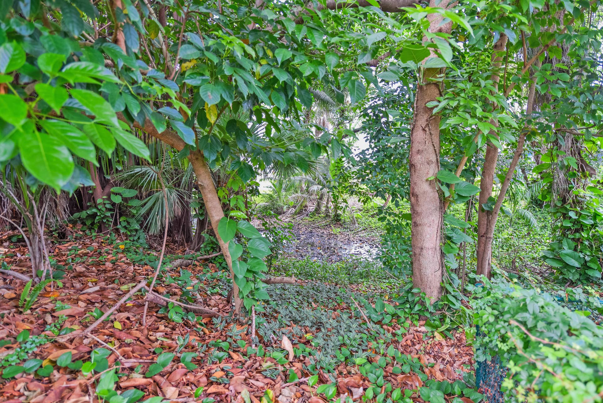 91 SW 11th Avenue, Boca Raton, FL 33486 91 SW 11th Ave_Lois Ronan_4