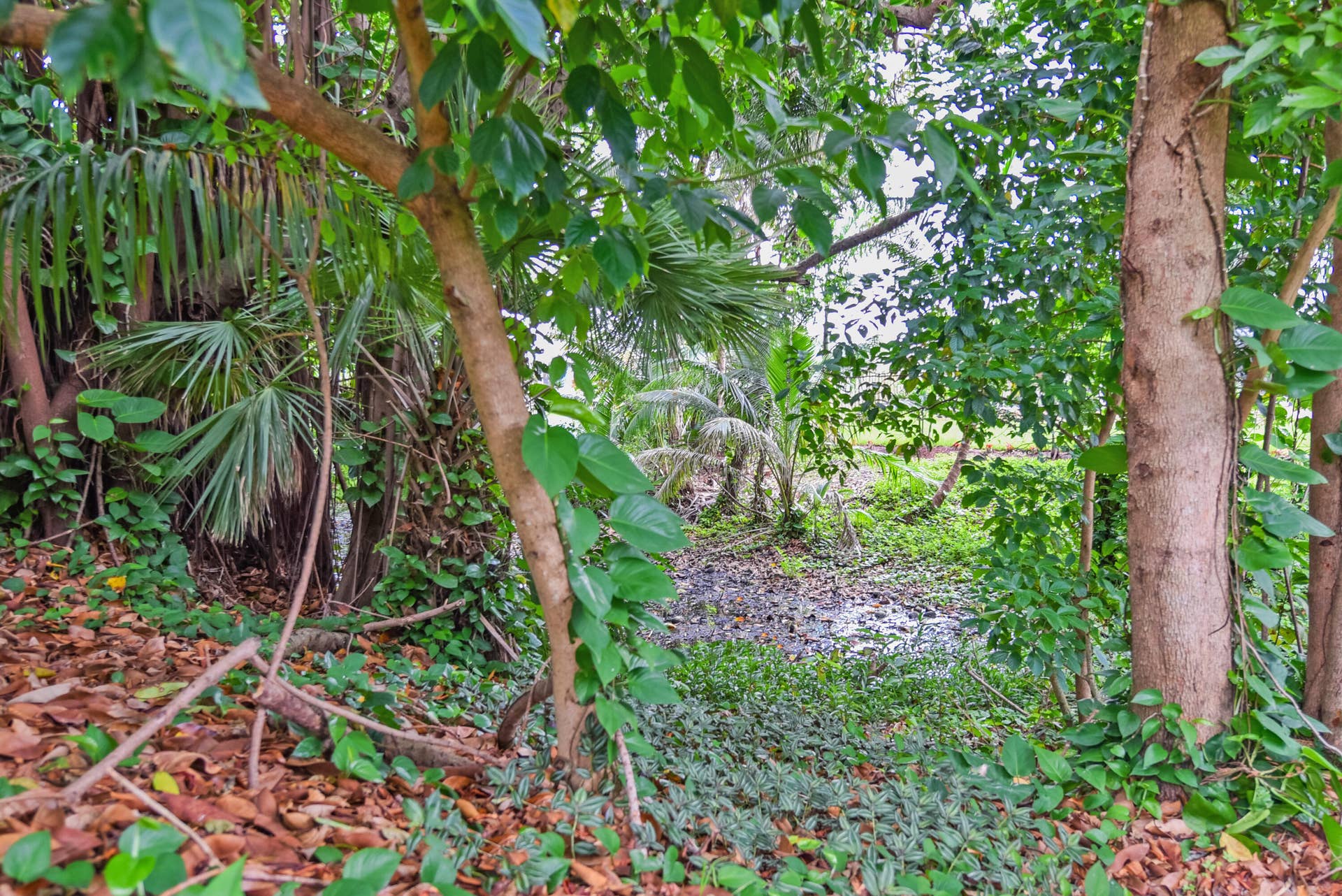 91 SW 11th Avenue, Boca Raton, FL 33486 91 SW 11th Ave_Lois Ronan_5