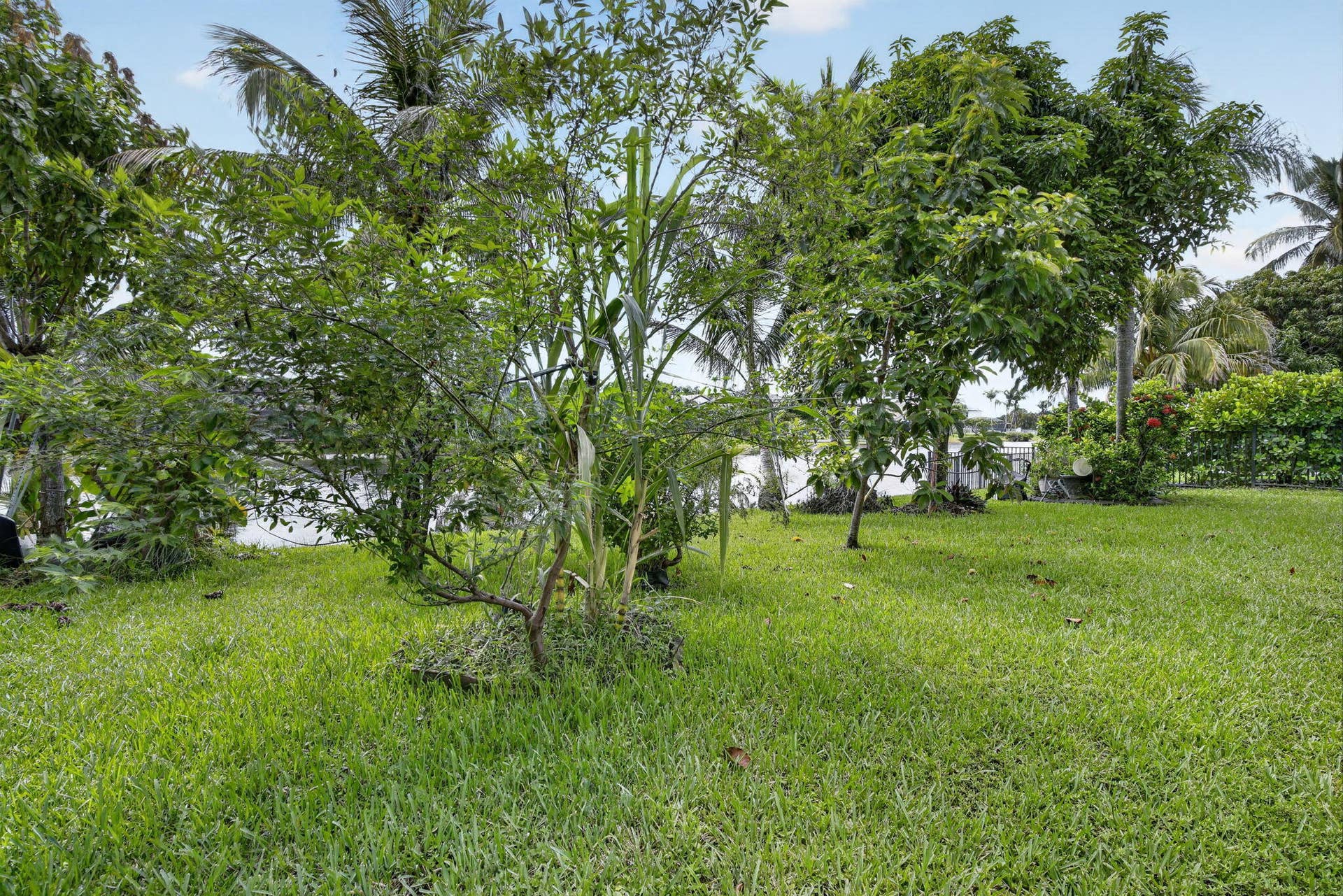 31-web-or-mls-_A7A8085