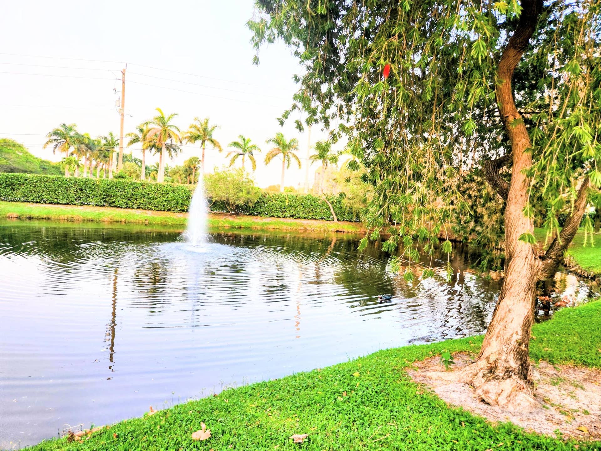 1020 Crystal Way, #C, Delray Beach, FL 33444 3107