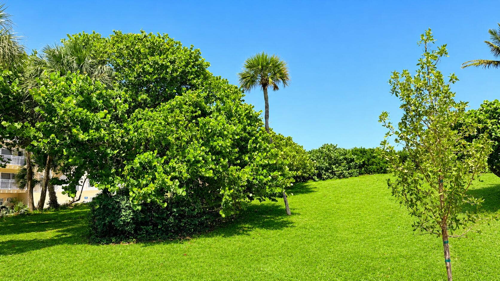 4501 S Ocean Boulevard, #D4, South Palm Beach, FL 33480 Beachside Park