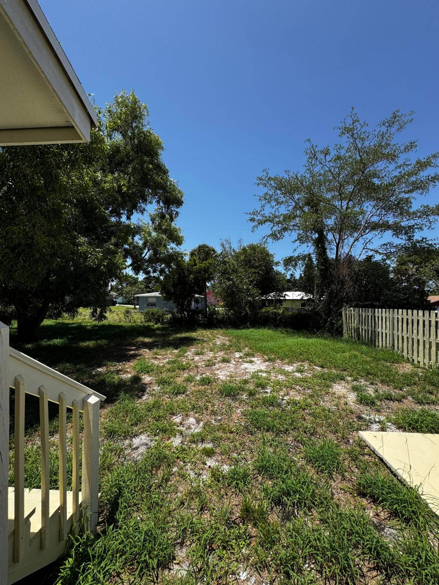 backyard