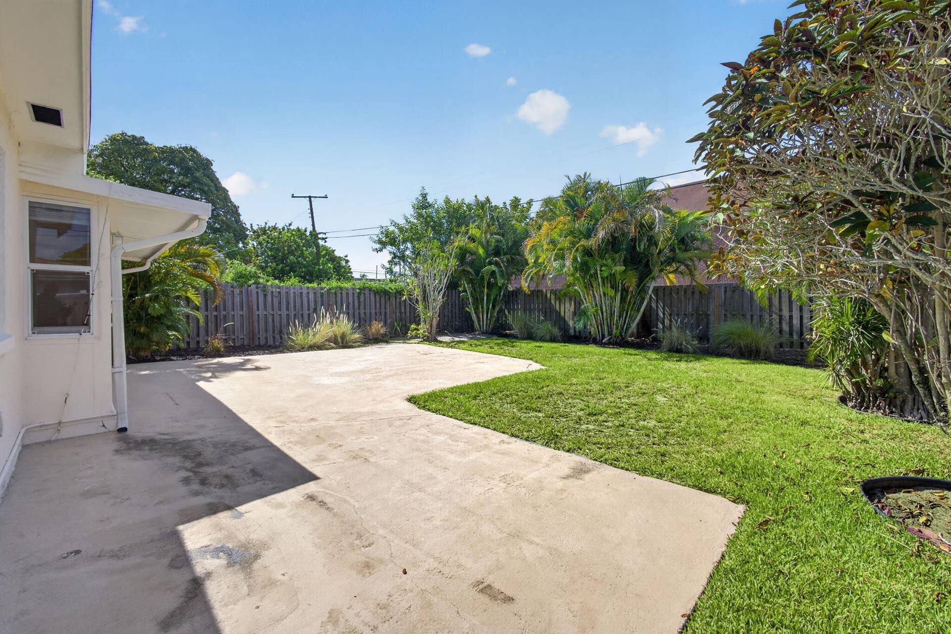 Backyard
