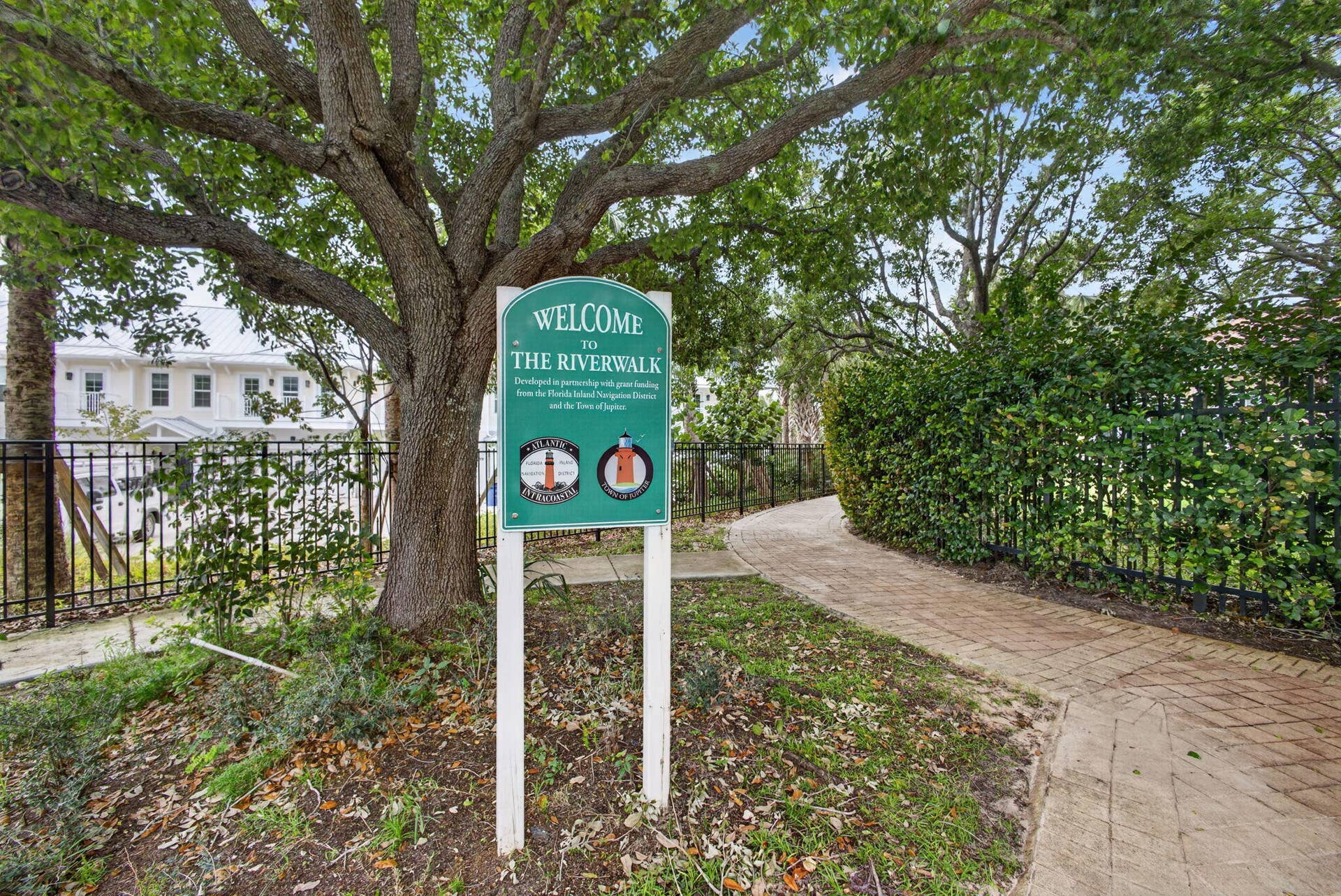 55-web-or-mls-5D1A4133
