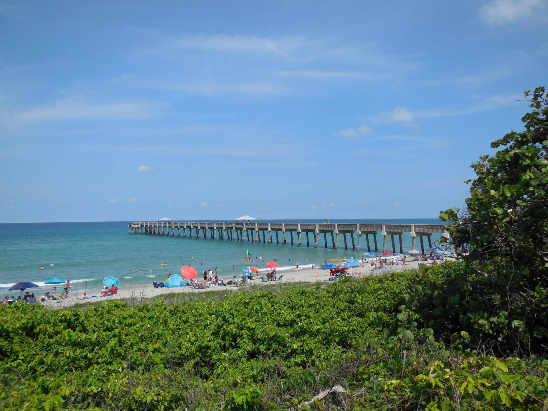 800 Juno Ocean Walk, #301a, Juno Beach, Juno Beach, FL 33408 DSCN1622