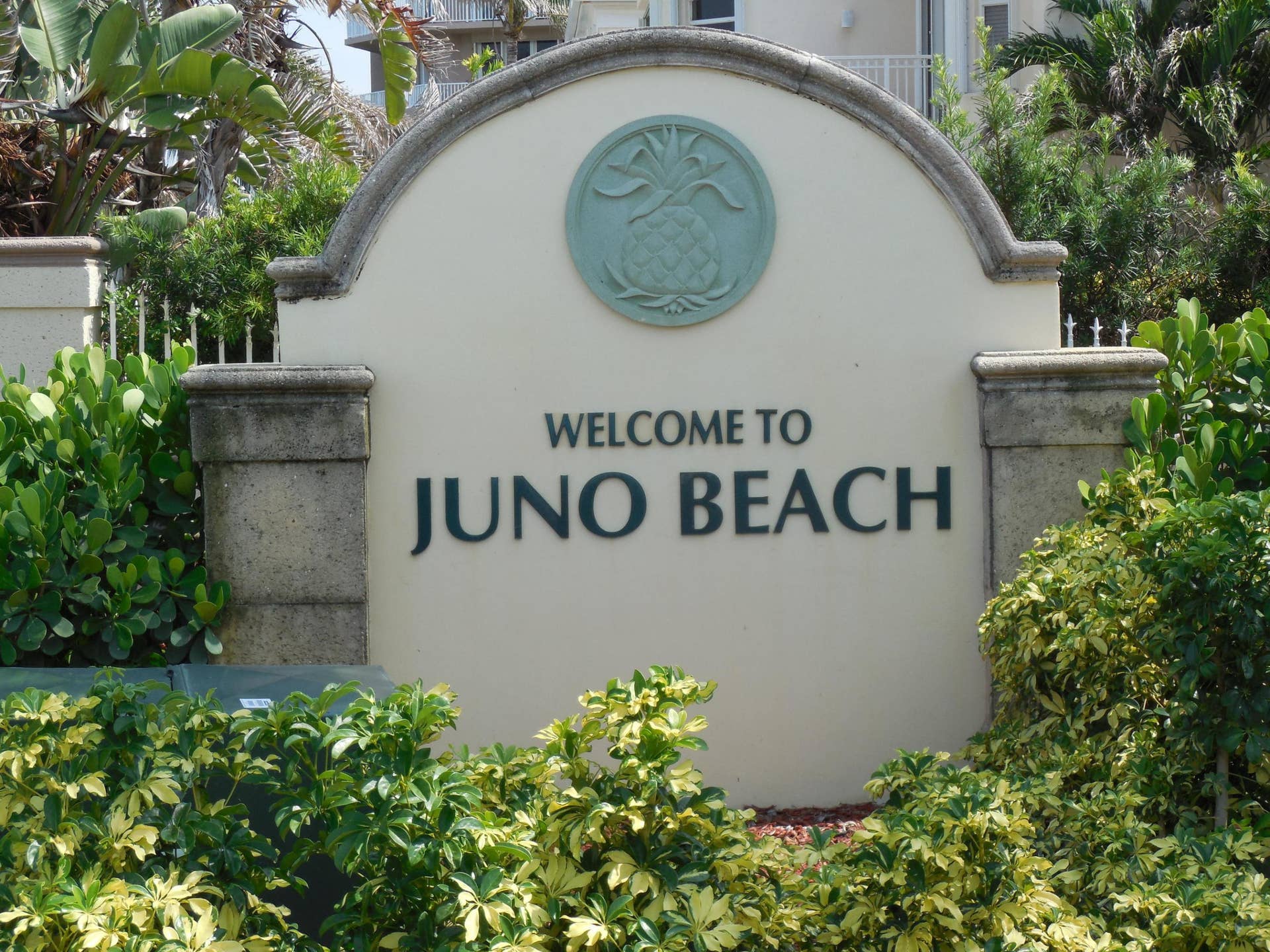 800 Juno Ocean Walk, #301a, Juno Beach, Juno Beach, FL 33408 DSCN1584