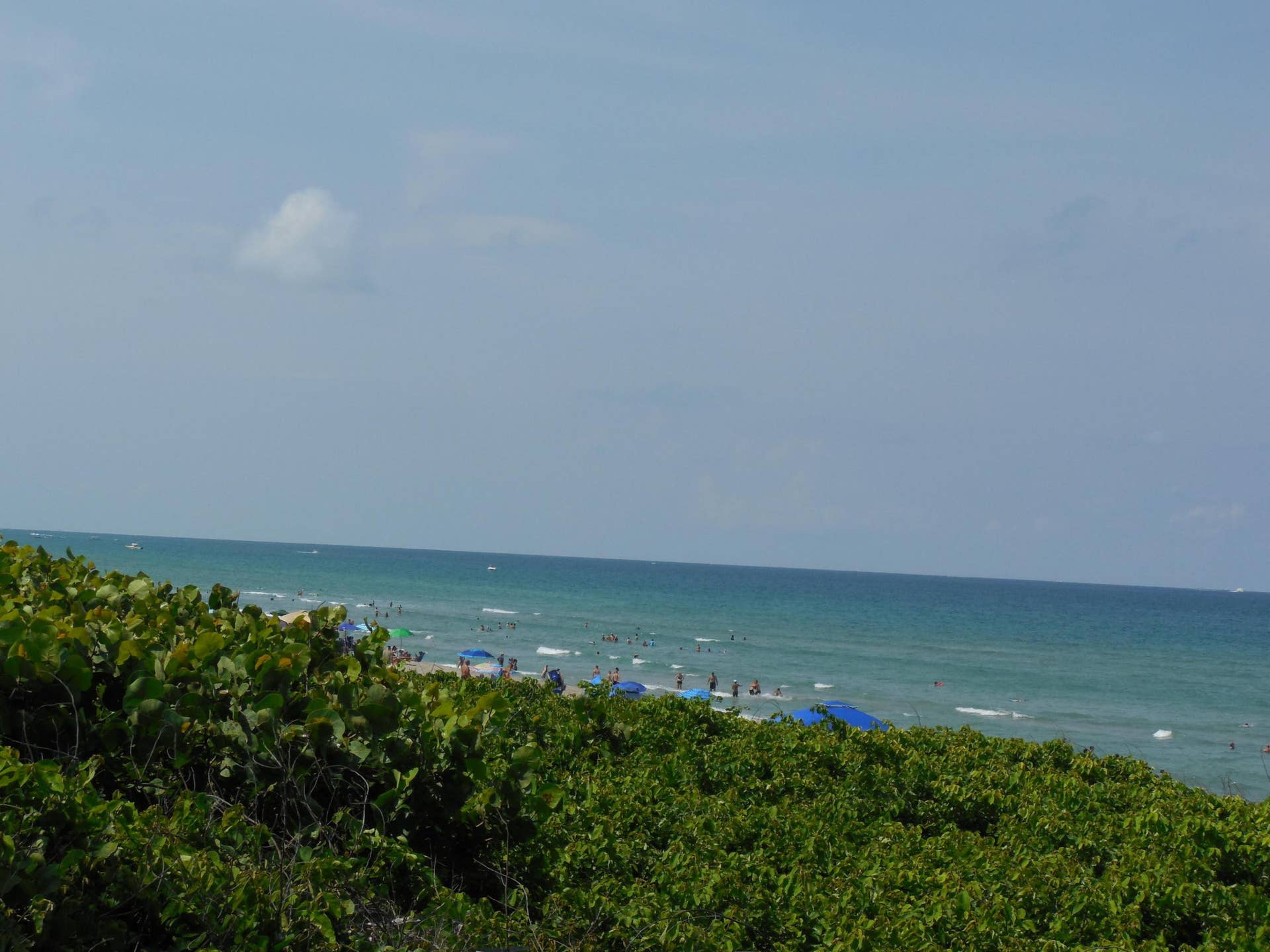 800 Juno Ocean Walk, #301a, Juno Beach, Juno Beach, FL 33408 DSCN1619