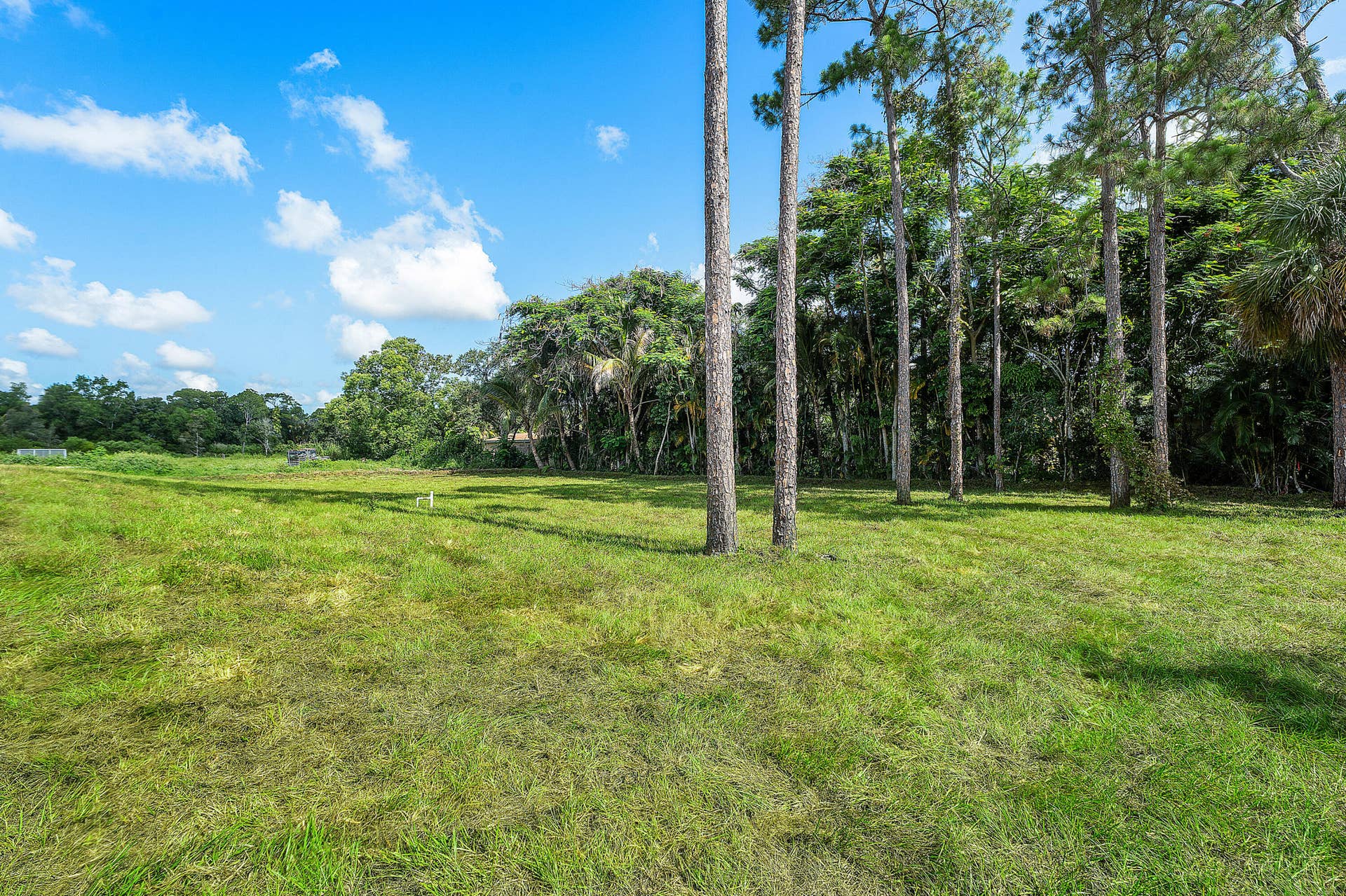 11701 153rd Court N, Jupiter, FL 33478 52_beyc6a443e4c949ae
