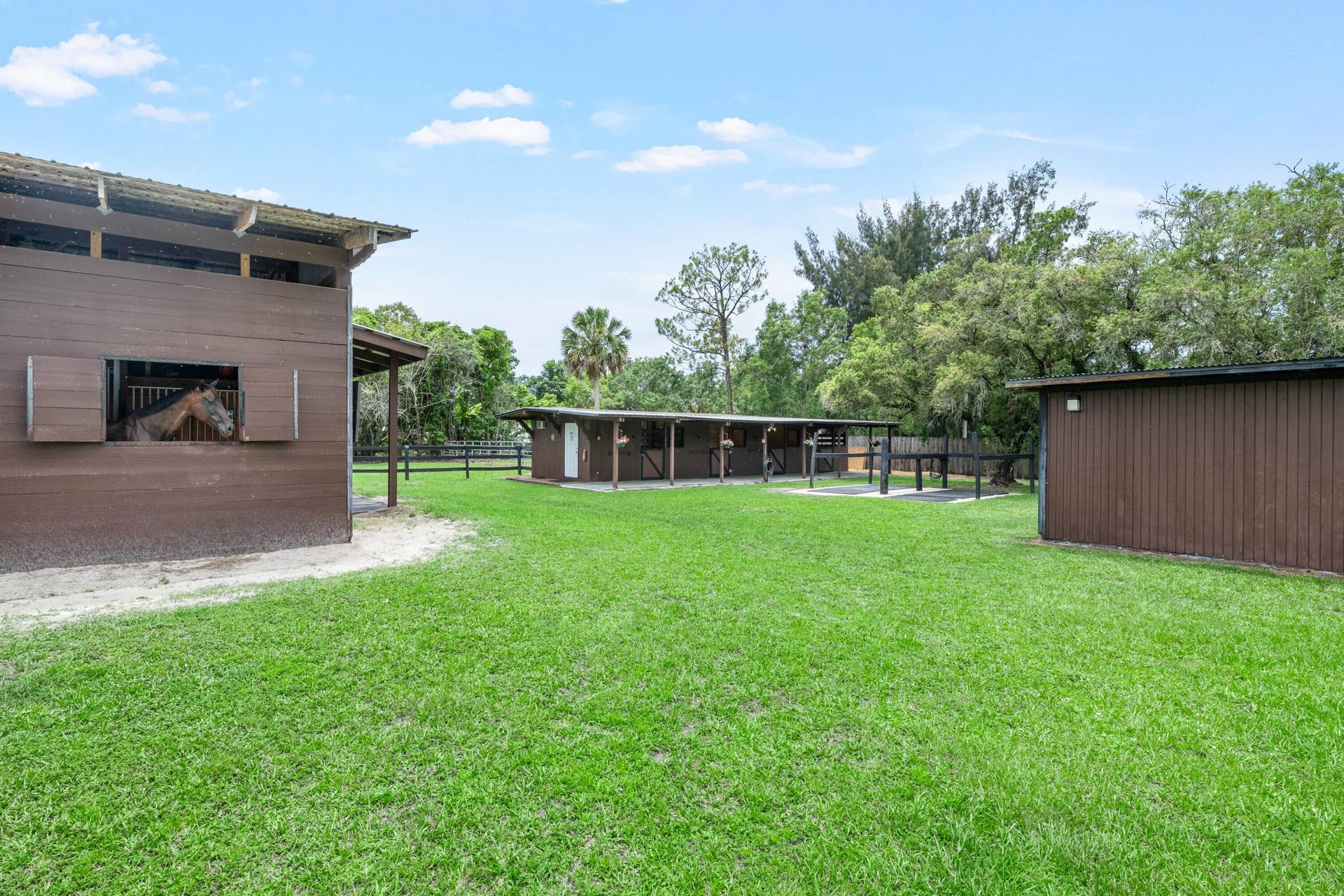 4 Stall Barn with Runouts and Feed/Tack Room
