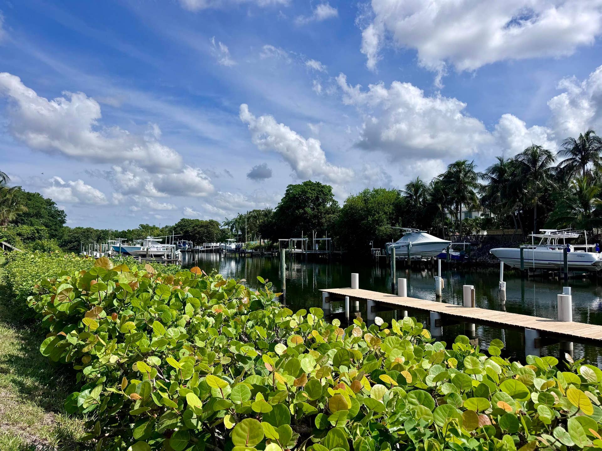 342 Southwind Drive, #205, North Palm Beach, FL 33408 Waterfront View 3