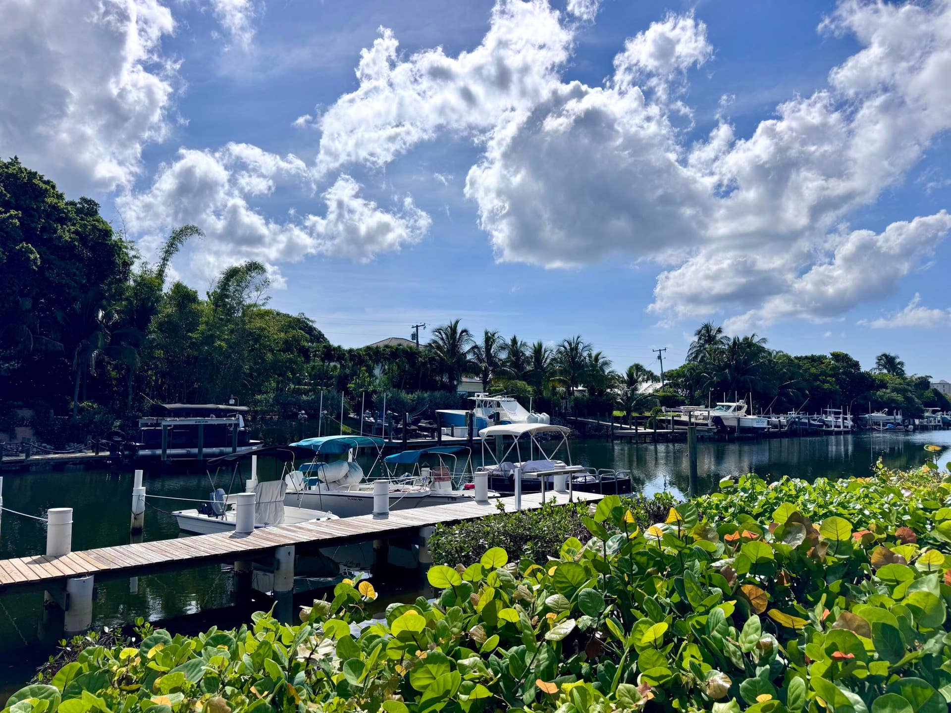 342 Southwind Drive, #205, North Palm Beach, FL 33408 Waterfront View 2