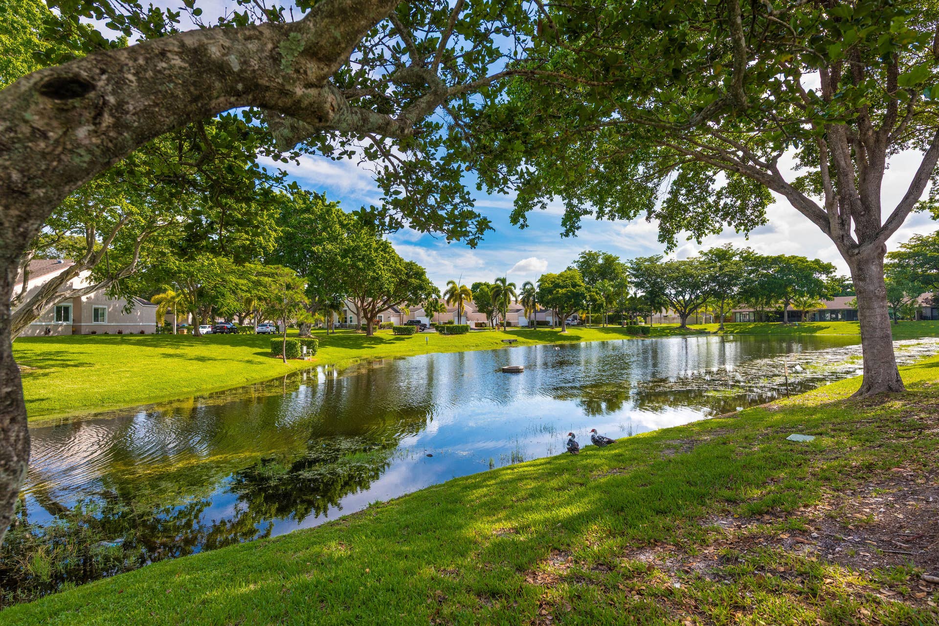 1013 NW 53rd Street, Deerfield Beach, FL 33064 1013NW53rdStDeerfieldBeach-37