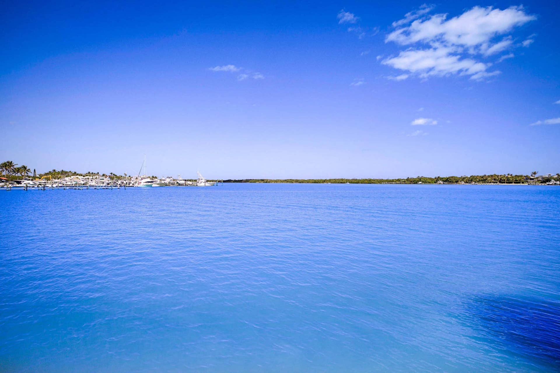 300 Intracoastal Place, #204, Jupiter, Jupiter, FL 33469 300 Intracoastal Place Apt 204-35