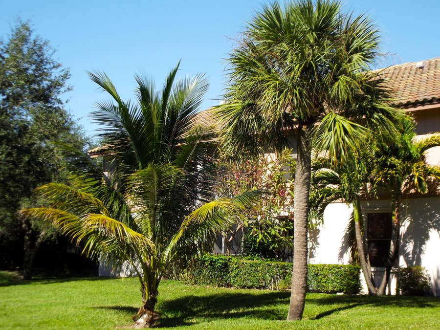 Property photo for 3355 Jaywood Terrace, #2140, Boca Raton, FL