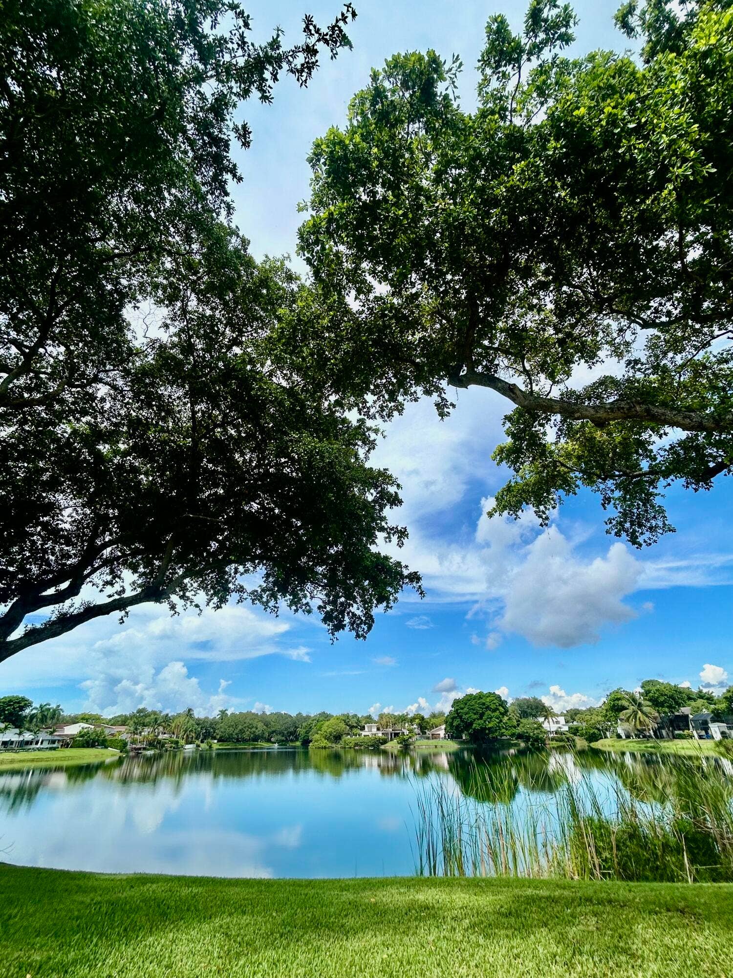 3015 Oaktree Lane, #Unit 277, Hollywood, FL 33021 IMG_8261