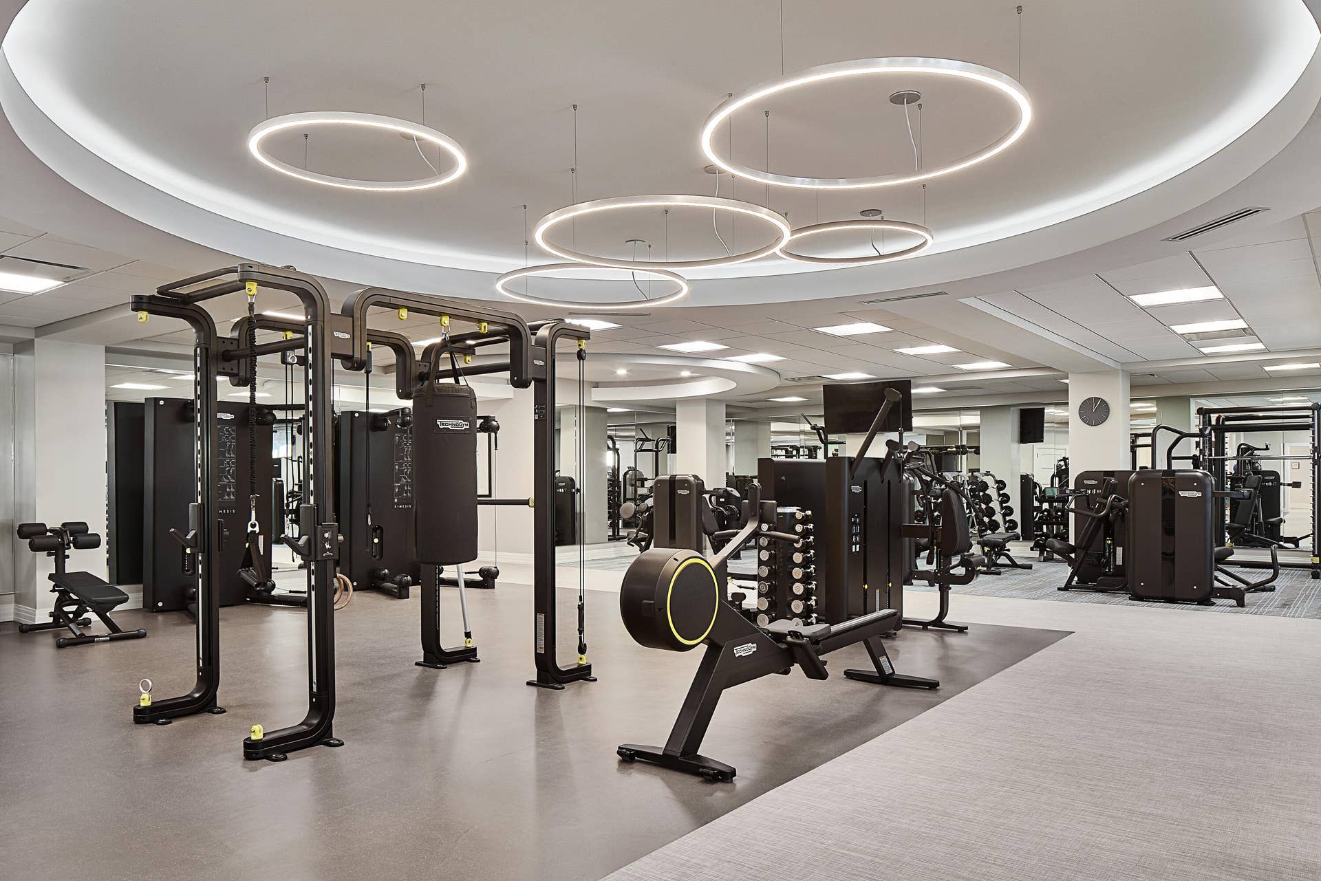 19 Fitness