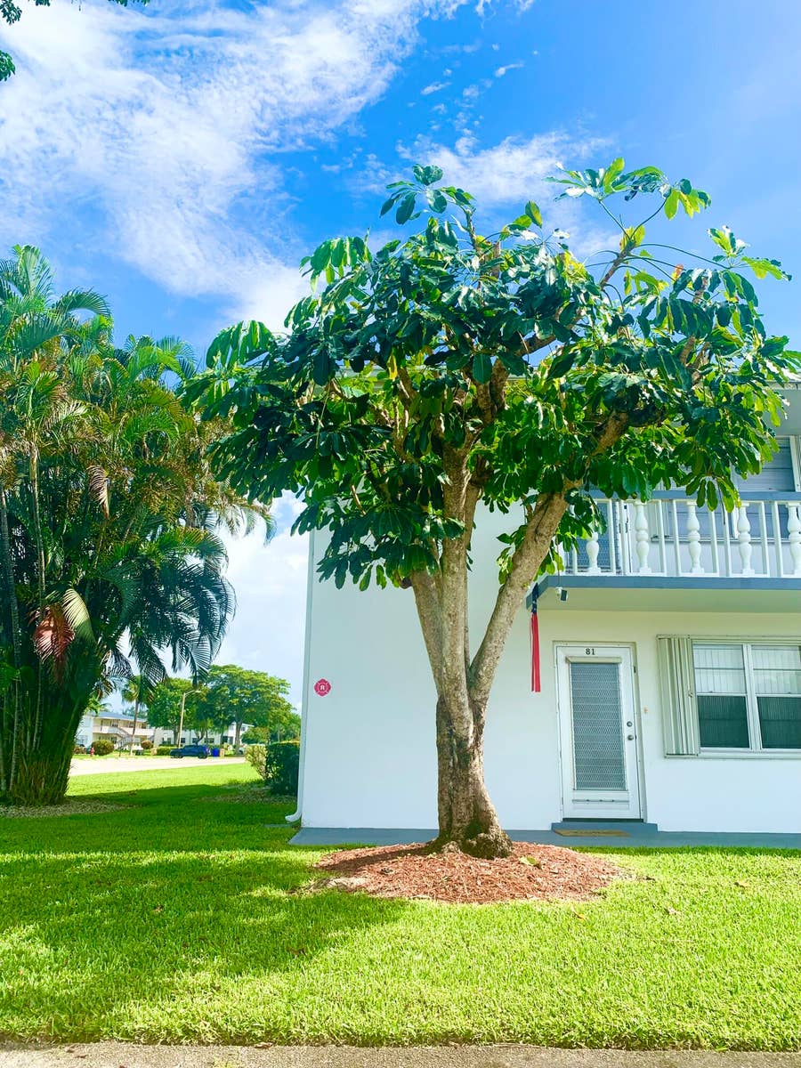 Property photo for 81 Kingswood E, West Palm Beach, FL