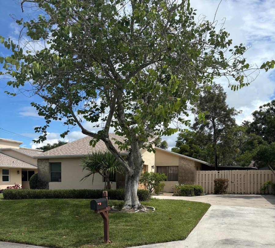 Property photo for 3155 NW 9th Street, Delray Beach, FL