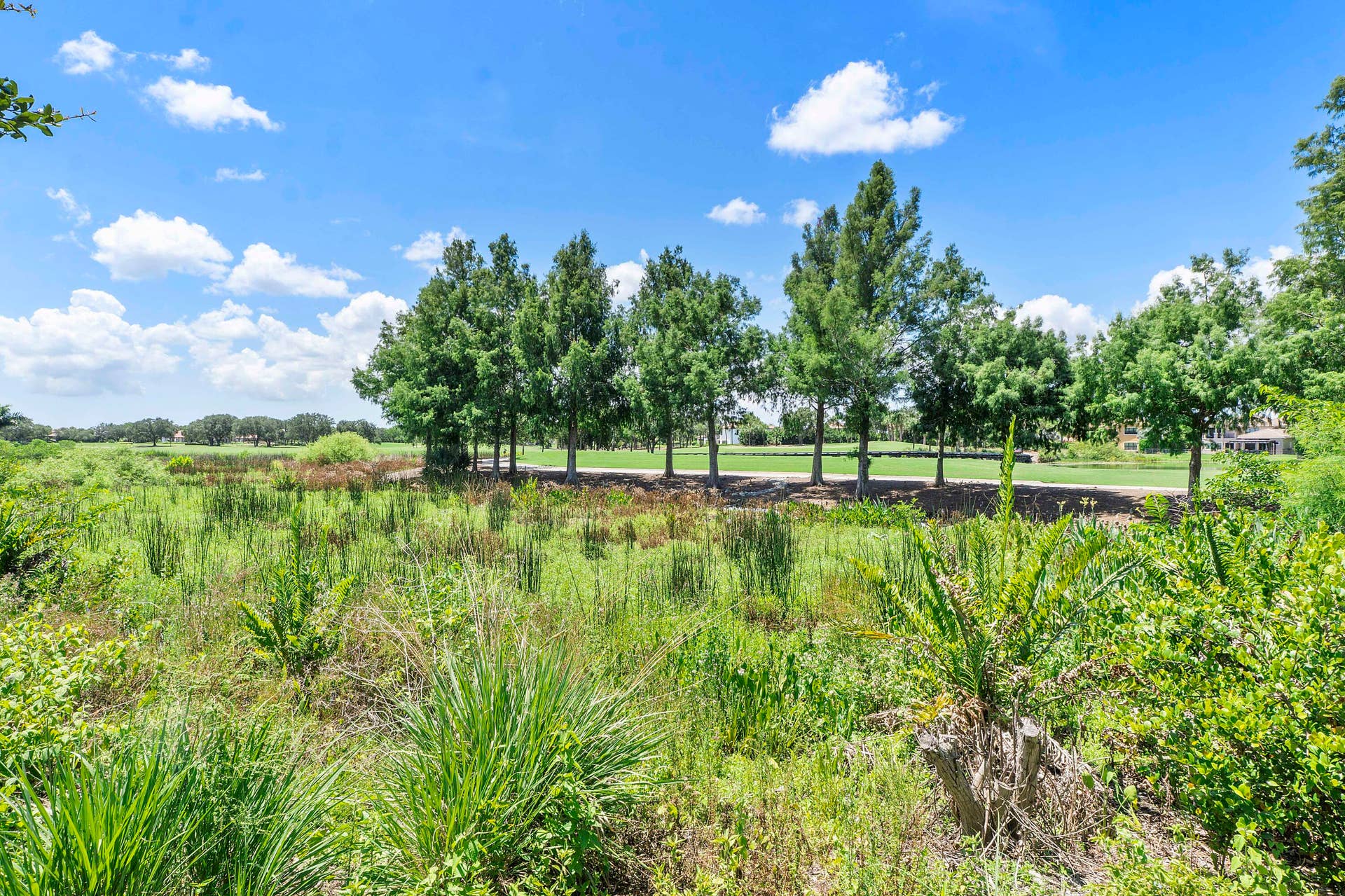 10282 Emerson Street, Parkland, FL 33076 10282 Emerson St_066