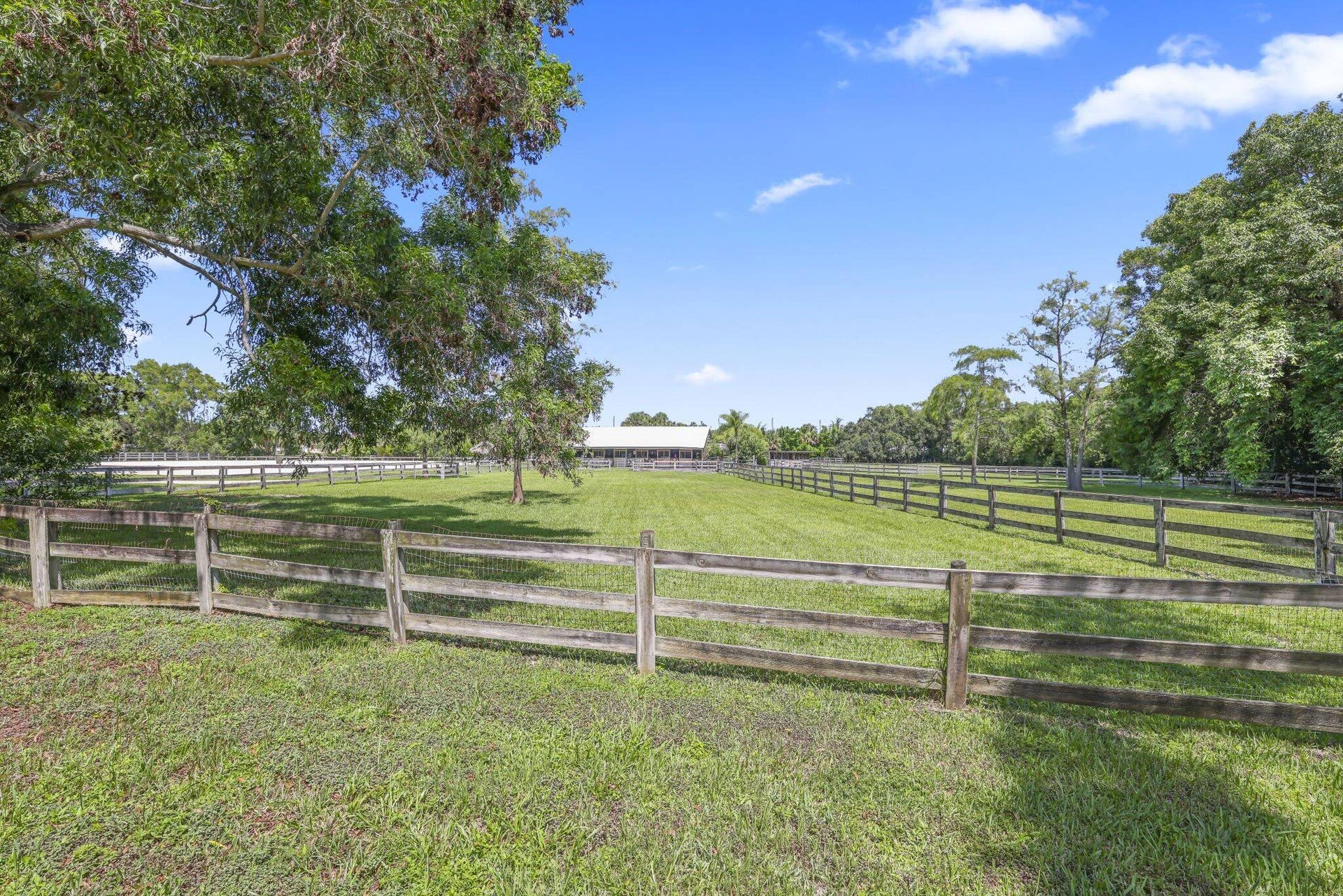 Large grass pasture