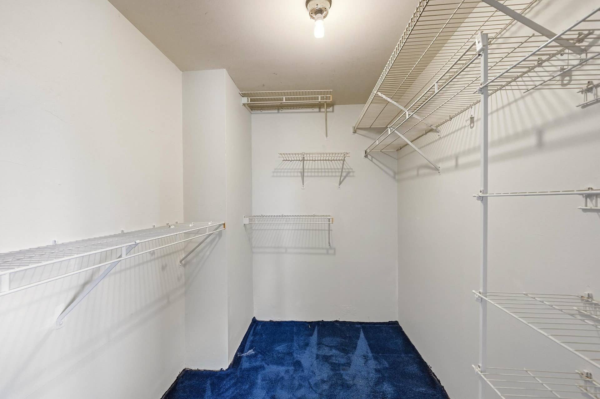 2160 NE 36th Street, #37, Lighthouse Point, FL 33064 Primary Closet
